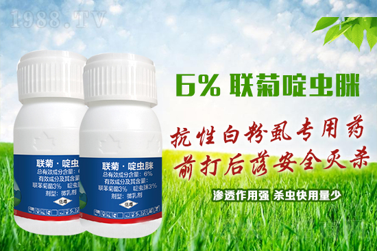 ���԰׷�ʭ�y�����y�Σ��@����ˎ�x(ch��ng)���p�������x(ch��ng)��