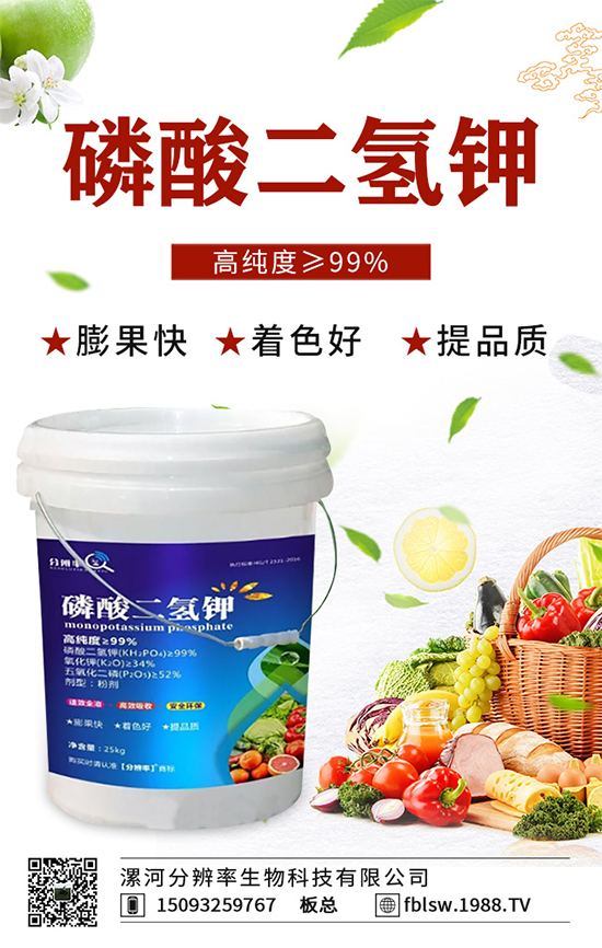 �~��ʵć�ʩ�`�^(q��)���@���c�e������