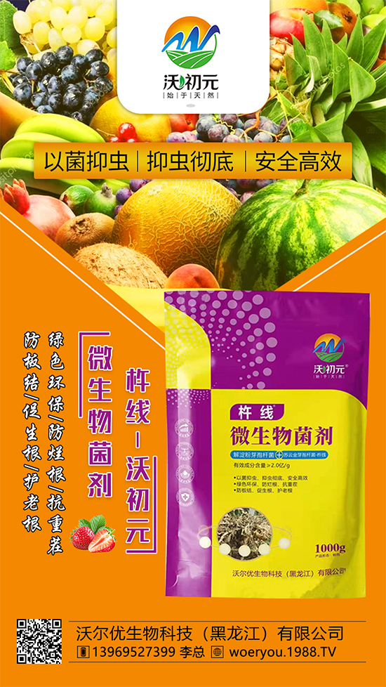 ����ĸ�ϵ���Q������Įa(ch��n)��