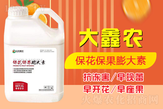 夏季保果膨大少不了,如何保果膨大?