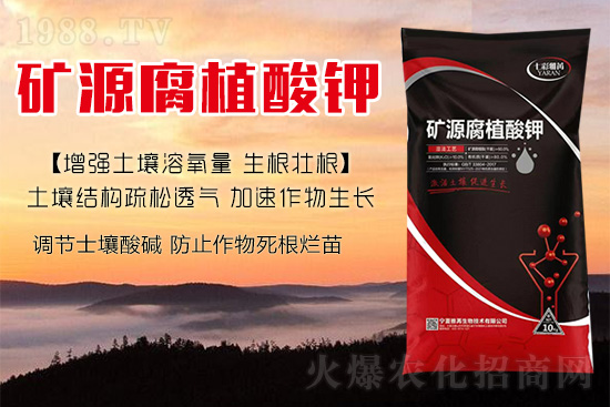 ����Nֲ��������(d��ng)�ׂ��������Ӹ��Ƹ�ϵ��r����