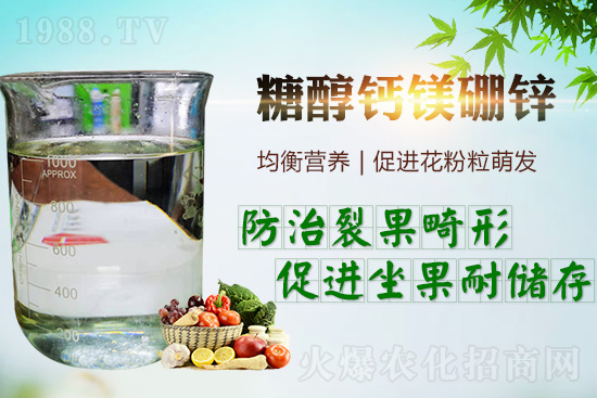     �����_���������ж���Ҫ���_�������ڵ����c��������