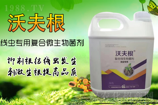 ���Y(ji��)���x��Ⱦ������������������������Ч����!