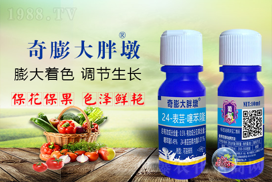     ������Ҫ�߮a(ch��n)��������P(gu��n)�I��������(sh��)�������D(zhu��n)ɫ�á��u��������ڵĮa(ch��n)����Ʒ�|(zh��)���С�����(l��i)�S��Ĺ��r(n��ng)���r(n��ng)������ӳ�Լҵ���������ס���������������������������������ܛ���չ�����r�l���l(f��)����