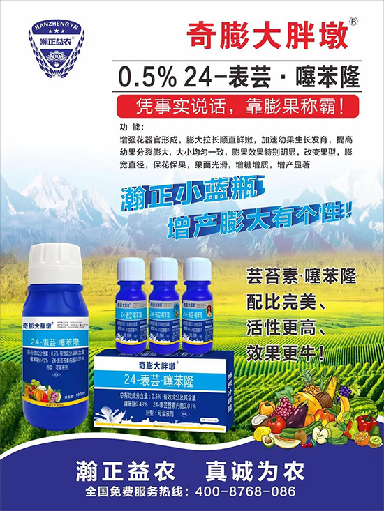     ������Ҫ�߮a(ch��n)��������P(gu��n)�I��������(sh��)�������D(zhu��n)ɫ�����u��������ڵĮa(ch��n)����Ʒ�|(zh��)���С�����(l��i)�S��Ĺ��r(n��ng)���r(n��ng)������ӳ�Լҵ���������ס���������������������������������ܛ���չ�����r�l���l(f��)����