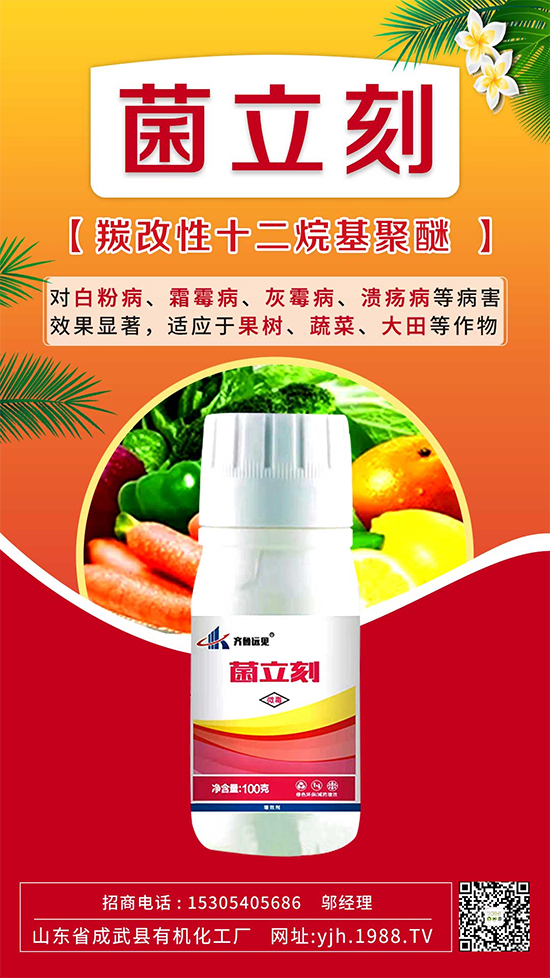 ����˪ù��߀�ǰ׷۲����e��ɵɵ�ֲ����ˣ���ηֱ漰������