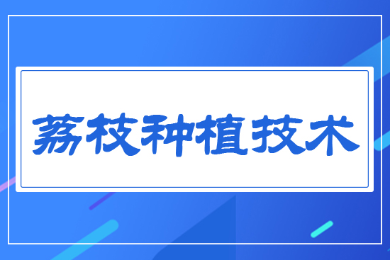 ��֦�Nֲ���g(sh��)