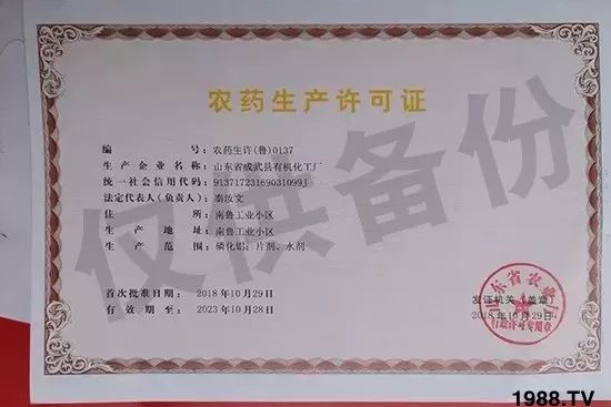 ��ֲ�ﰩ�Y-���������������������в�ˎ������������