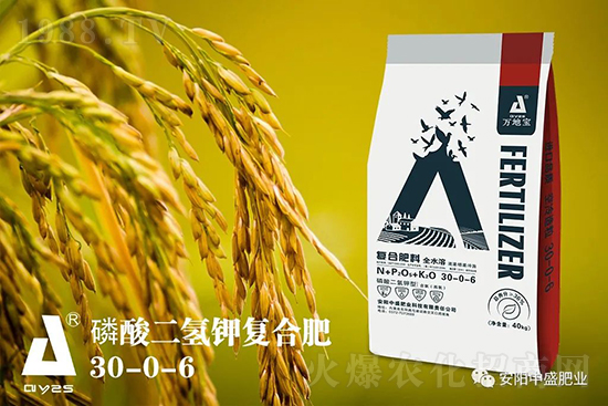 水稻分蘗不好對產量有多大影響?促進水稻分蘗怎么做?