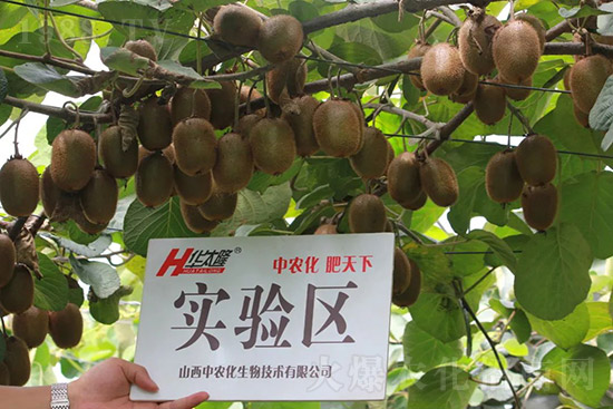 �J����������c����Щ���J����������ôʩ