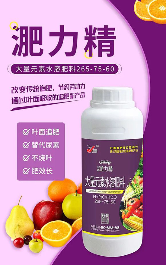 玉米追肥復(fù)合肥好還是尿素好?很多人都錯了!它才是正確選擇