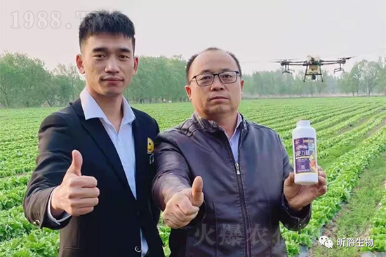 玉米追肥復(fù)合肥好還是尿素好?很多人都錯了!它才是正確選擇