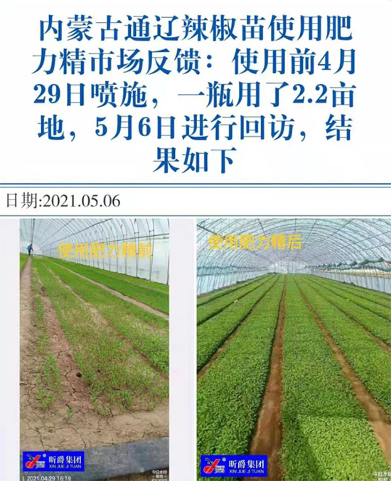 玉米追肥復(fù)合肥好還是尿素好?很多人都錯了!它才是正確選擇