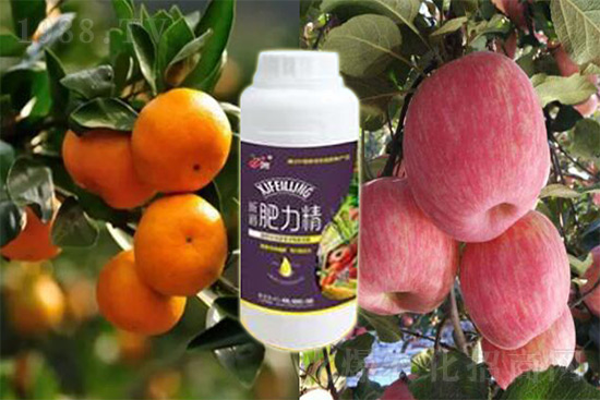 玉米追肥復(fù)合肥好還是尿素好?很多人都錯了!它才是正確選擇