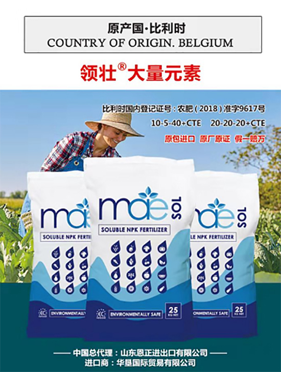 ��500�2000���߶��M(j��n)�ڷʡ��ԃr(ji��)�Ȱ�����