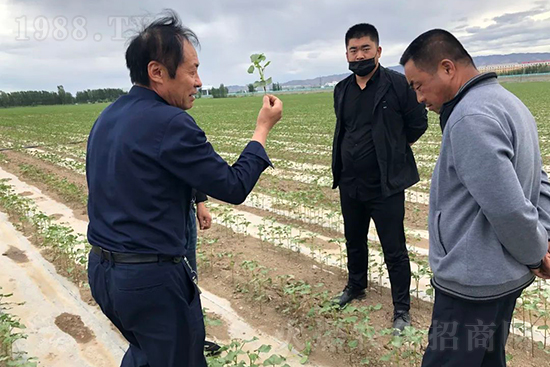 中農(nóng)化新疆北疆辦事處負(fù)責(zé)人:同路同行共發(fā)展