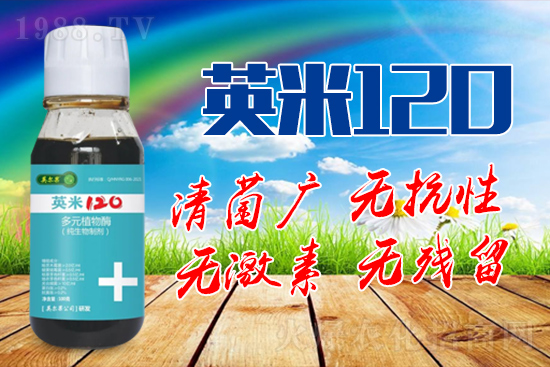 ��轰׷۲��İY����ʲô����轰׷۲����η�����