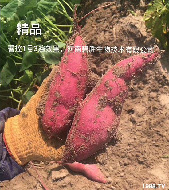 功能特點(diǎn):