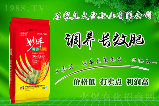 ��(zh��n)�Ժ���������(j��)��ʯ���f�󻯷ʘI(y��)�ٴκ��s1988.TV��