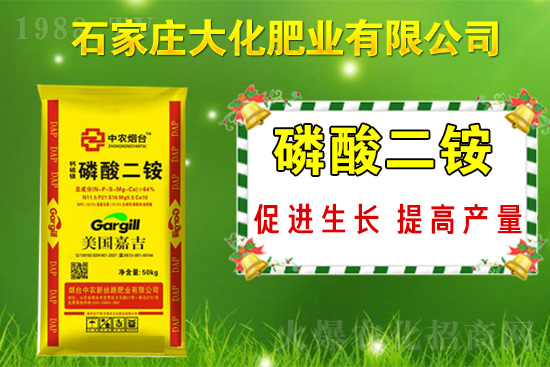 ��(zh��n)�Ժ���������(j��)��ʯ���f�󻯷ʘI(y��)�ٴκ��s1988.TV��