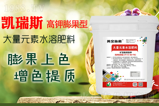     ���M���������ɫ���@���䷽��(zh��n)�]�e���������|(zh��)���a(ch��n)��