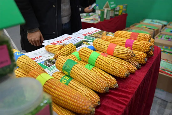 �����I�N�I(y��)���[��(hu��)2