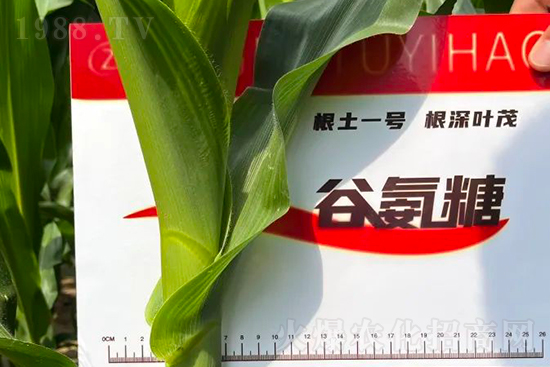 ��Դ������������I�B(y��ng)�a(b��)��ȫ����