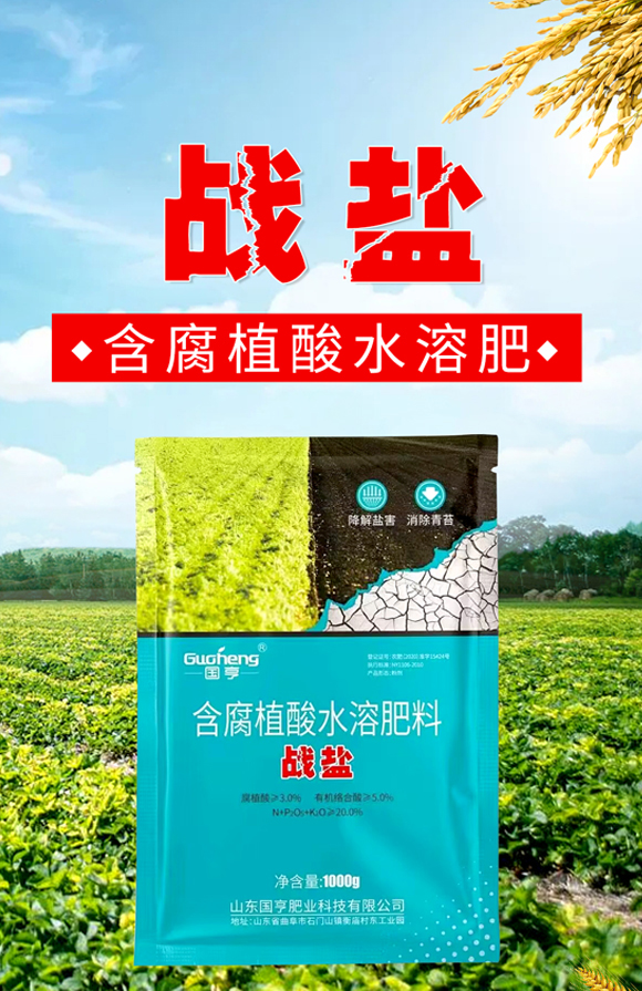 戰(zhàn)鹽-國亨肥業(yè)_01