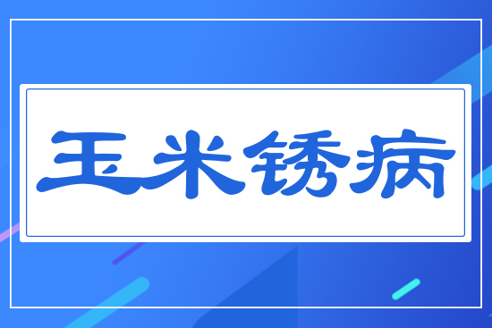 �����P��