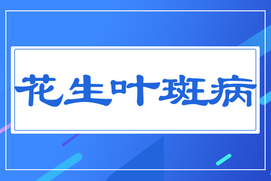 �����~�߲�