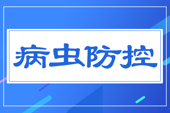 ���x(ch��ng)����