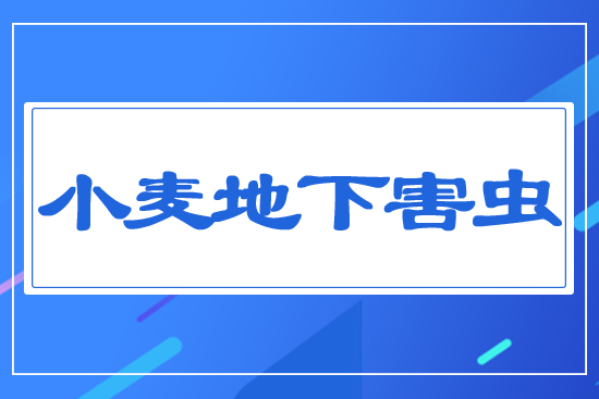 С�����º��x