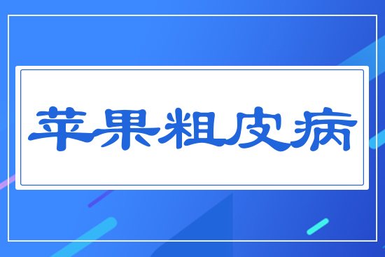 �O(p��ng)����Ƥ��