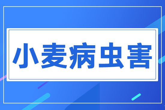 С�����x��