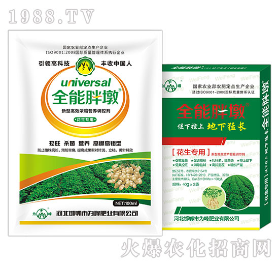 花生專(zhuān)用-全能胖墩-為峰