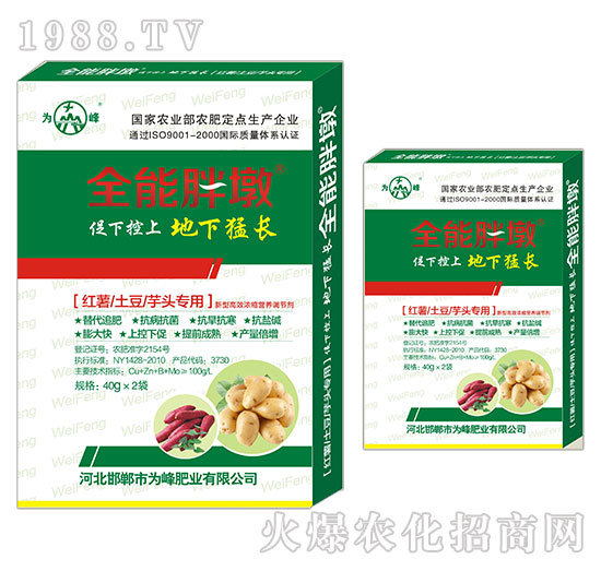 紅薯、土豆、芋頭專用-全能胖墩-為峰