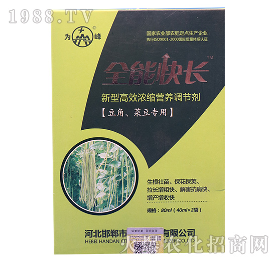 豆角、菜豆專用高效高效濃縮營養(yǎng)調(diào)控劑-全能快長-為峰肥業(yè)