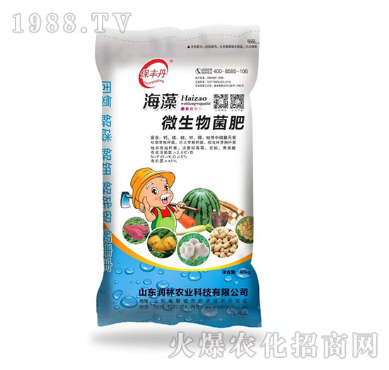 海藻微生物菌肥-保豐丹-潤林農(nóng)業(yè)
