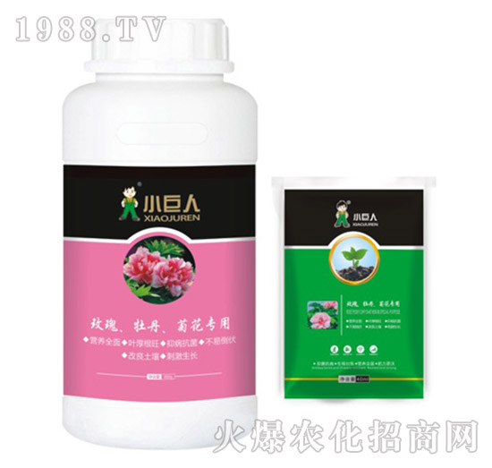 玫瑰、牡丹、菊花專用調(diào)節(jié)劑-小巨人