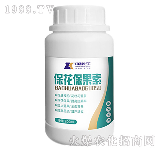 ����������-�пƻ���