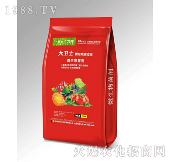 根結(jié)線蟲(chóng)克星-微生物菌劑-施耐力