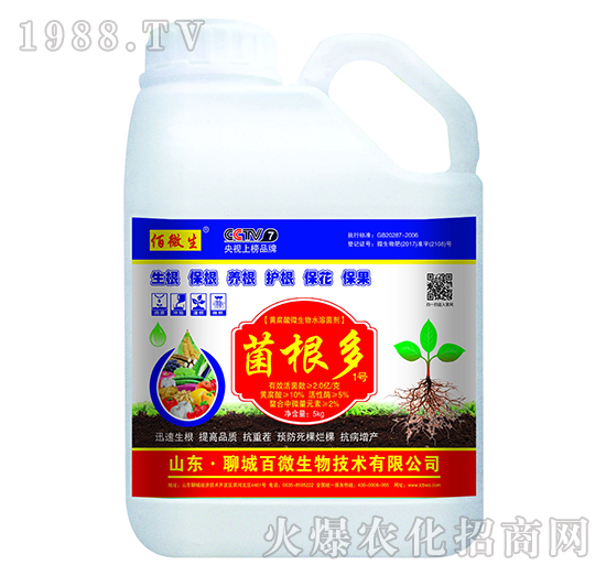 黃腐酸微生物水溶菌劑-菌根多1號(hào)-佰微生