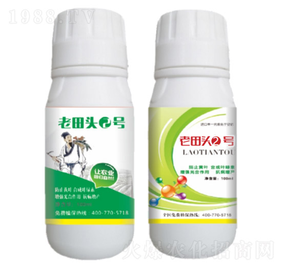 真菌、細(xì)菌性病害、病毒?。ㄖ胁菟幣浞剑?老田頭2號(hào)