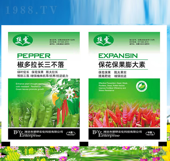 ?；ū９虼笏?椒多拉長(zhǎng)三不落-植圣-碧野農(nóng)化