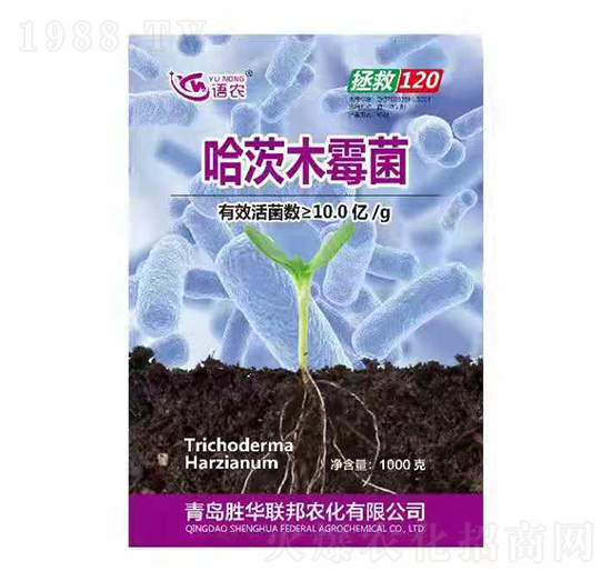 ����ľù��-�Z(y��)�r(n��ng)-���A(li��n)��