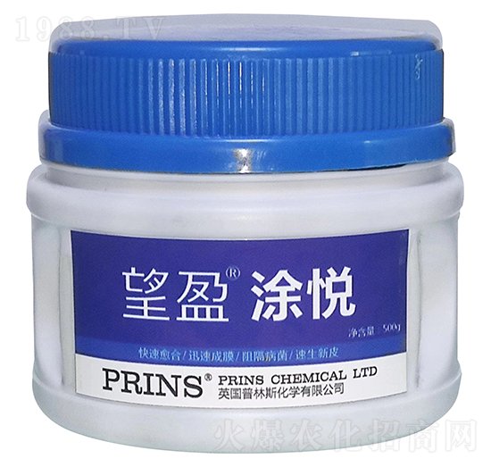 望盈涂悅-英國(guó)普林斯