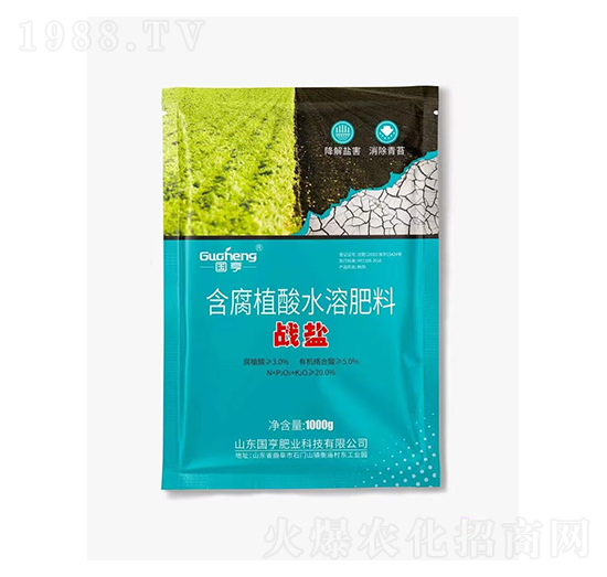 含腐植酸水溶肥料-戰(zhàn)鹽-國亨