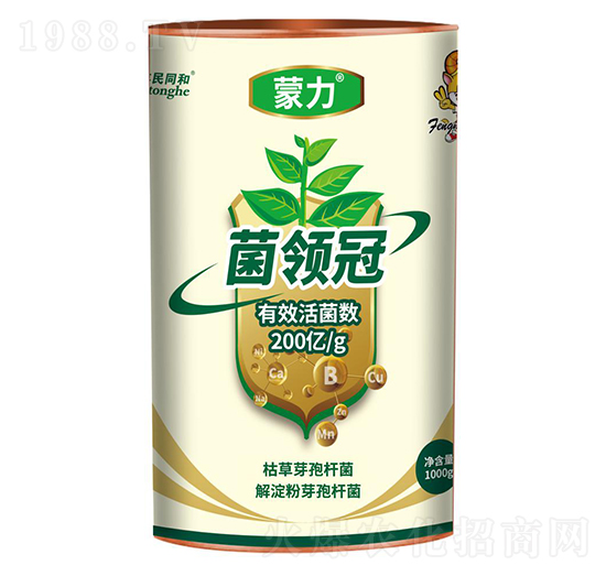 �������I��-�͝��r(n��ng)�I(y��)