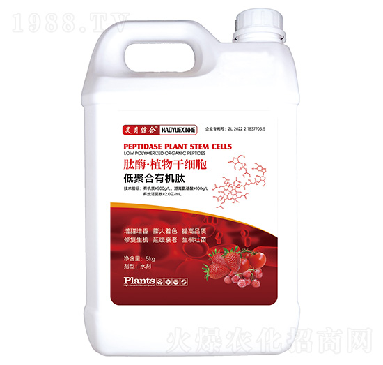 肽酶·植物干細胞-昊月信合