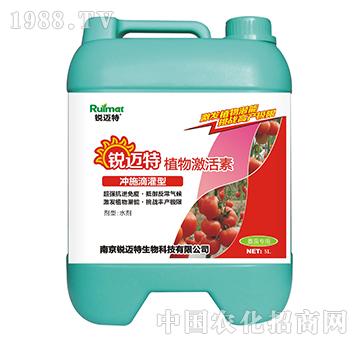 ֲ�Ｄ���؛_ʩ�ι���-